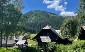 Ferienhaus Bettina Rassis Feriendorf Donnersbachwald