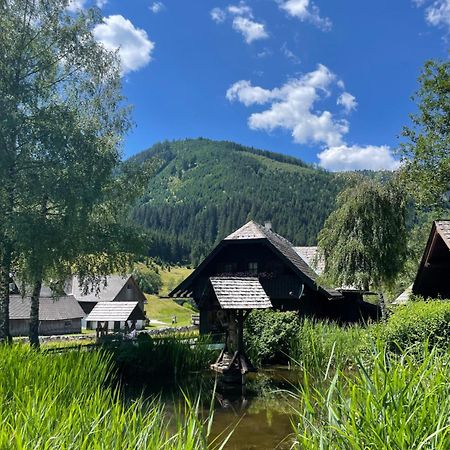 Hotel Ferienhaus Bettina Rassis Feriendorf Donnersbachwald Exteriér fotografie