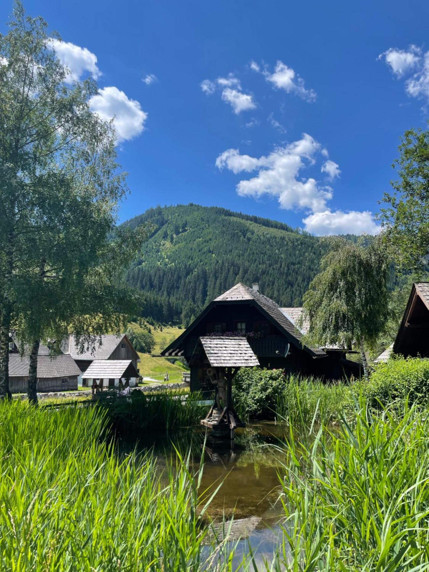 Hotel Ferienhaus Bettina Rassis Feriendorf Donnersbachwald Exteriér fotografie